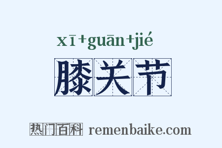 膝关节是什么意思的图片